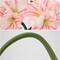 3-Piece Pale Pink Artificial Amaryllis Flowers – 17.3" Silk Faux Amaryllis Stems with 4 Blooms Each for Spring Home Décor, Table Centerpieces, Weddings & Party Arrangements